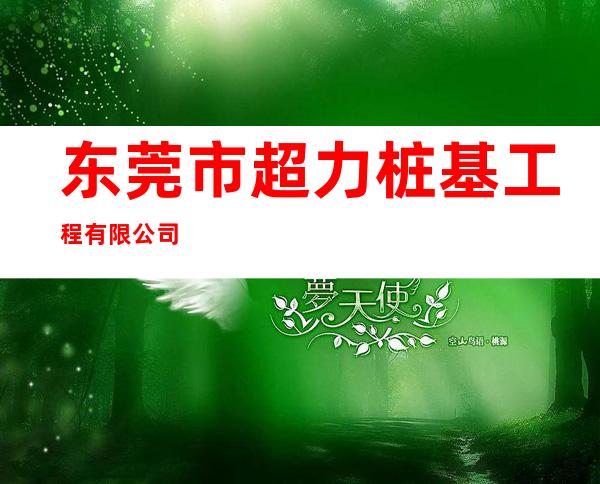 东莞市超力桩基工程有限公司
