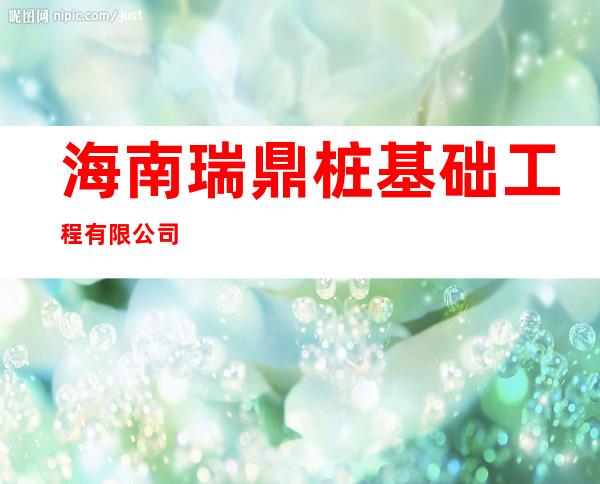 海南瑞鼎桩基础工程有限公司